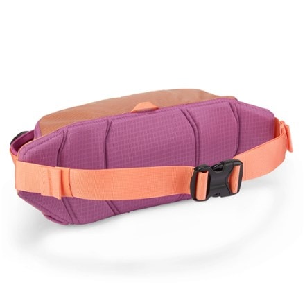 Patagonia Black Hole Waist Pack 5 L 1