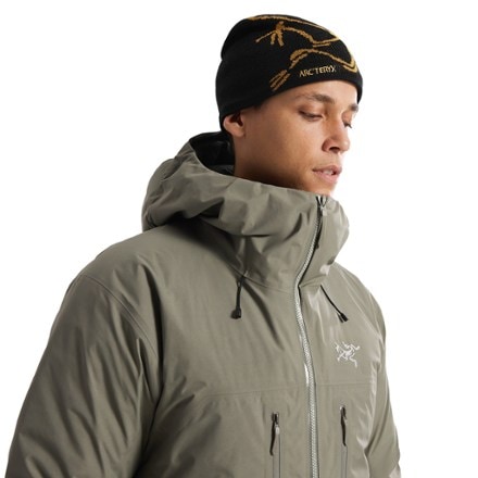 Arc'teryx Bird Head Toque Beanie 4