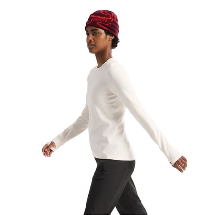 Arc'teryx Taema Thermal Crew Long-Sleeve Shirt - Women's 3