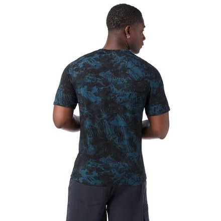 Smartwool Merino T-Shirt - Men's 1
