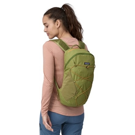 Patagonia Terravia Pack - 14 L 1