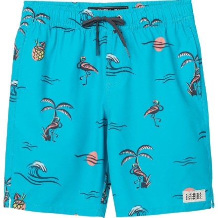 O'Neill Hermosa Crew 16" Swim Trunks - Kids' 0