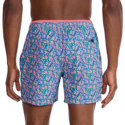 Chubbies Stretch 5.5" Lined Swim Trunks - Men's 2