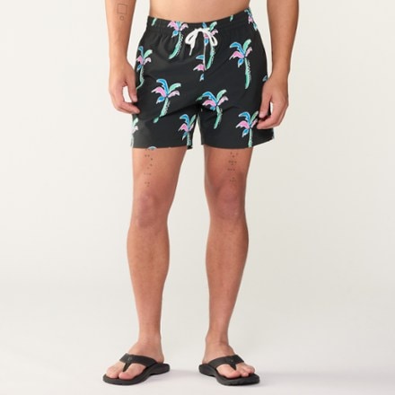 Chubbies Stretch 5.5" Swim Trunks - Men's 1