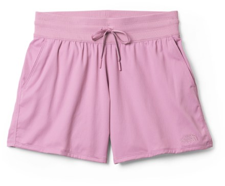 The North Face FlashDry Shorts