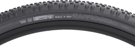 WTB Resolute Light Tire 1