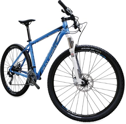 raleigh talus 29er