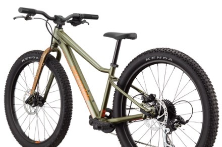 Cannondale Trail Plus 24 Kids' Mountain Bike - Mantis 4