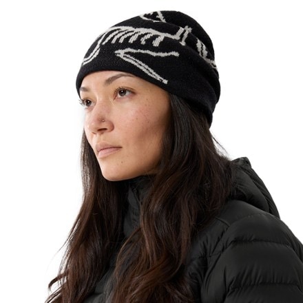 Arc'teryx Bird Head Toque Beanie 4