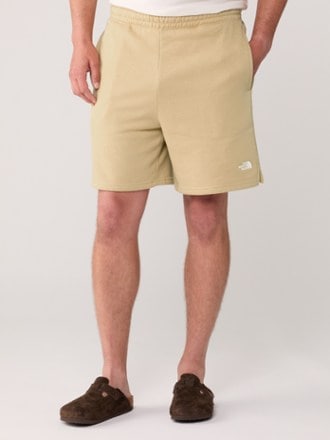 The North Face Evolution Shorts - Men's 1