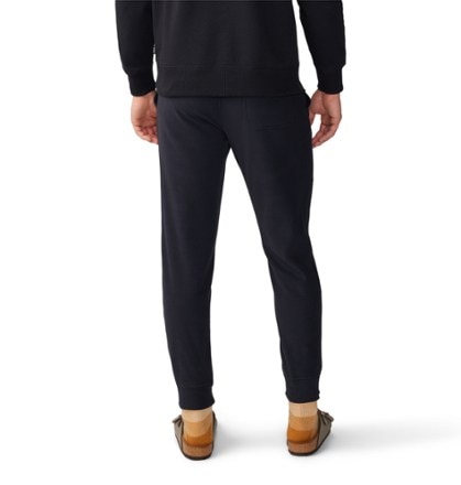 Mountain Hardwear Microchill Joggers - Men's 2