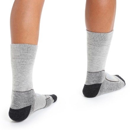 Icebreaker Hike+ Heavy Crew Socks - Women's 1