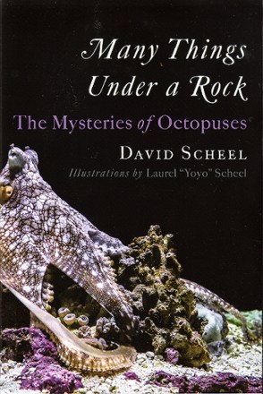 W W Norton Many Things Under a Rock: The Mysteries of Octopuses 0