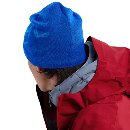 Arc'teryx Bird Head Toque Beanie 2