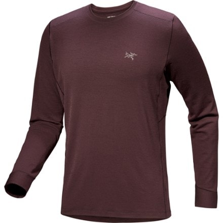 Arc'teryx Rho Merino Wool Crew Neck Base Layer Top - Men's 0