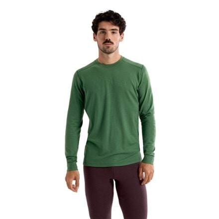 Arc'teryx Rho Merino Wool Crew Neck Base Layer Top - Men's 1