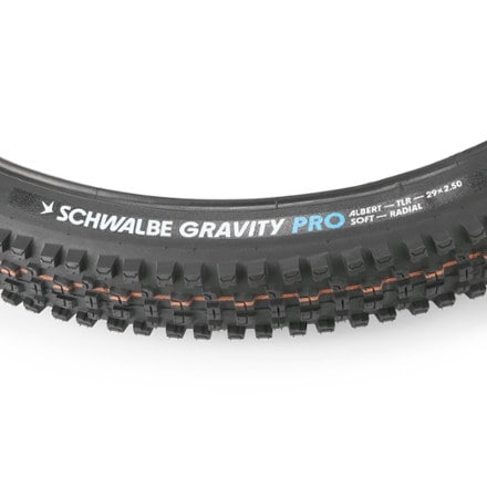 Schwalbe Schwalbe Albert Gravity Pro Radial Tire 3