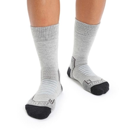 Icebreaker Hike+ Heavy Crew Socks - Women's 0