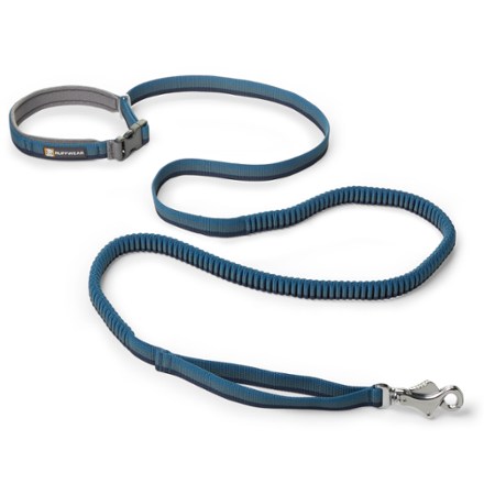 Roamer Leash