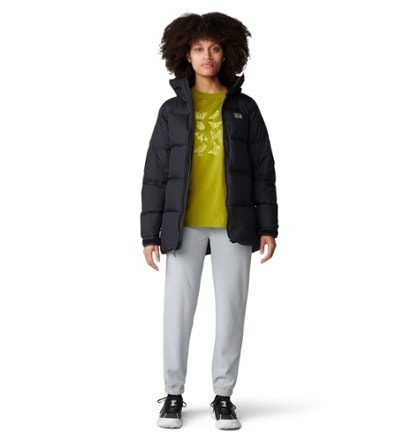 Mountain Hardwear Microchill Joggers - Women's 0