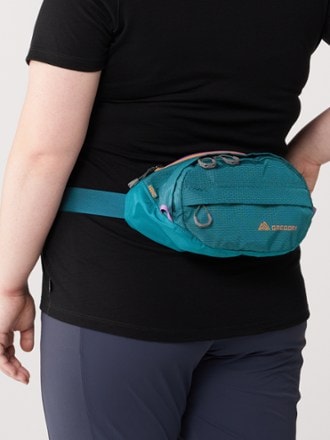 Gregory Nano Waist Pack 5