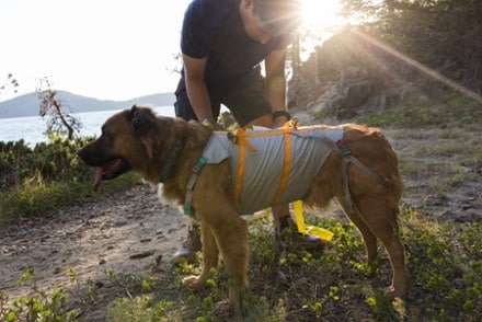 Ruffwear BackTrak Evacuation Kit 8