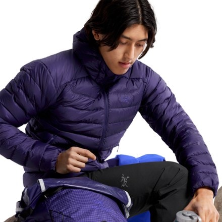 Arc'teryx Cerium Down Hoody - Men's 6