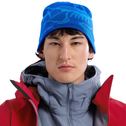 Arc'teryx Bird Head Toque Beanie 1