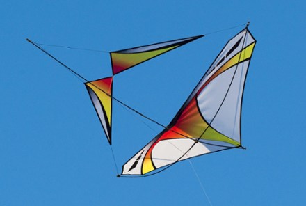 Prism Designs Zero G Glider Kite at REI