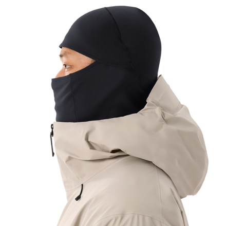 Arc'teryx Rho Balaclava 3