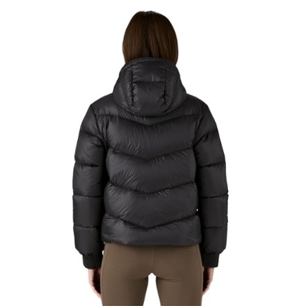 Patagonia Sindit Down Hoody - Women's 2