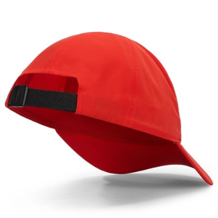 Arc'teryx Bird Word Cap 1
