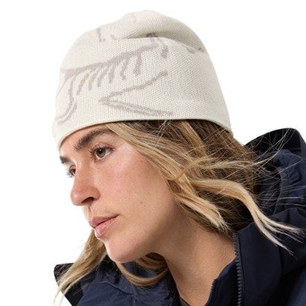 Arc'teryx Bird Head Toque Beanie 3