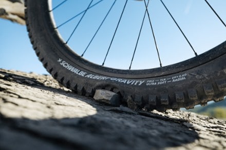 Schwalbe Schwalbe Albert Gravity Pro Radial Tire 6