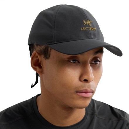 Arc'teryx Bird Word Cap 3