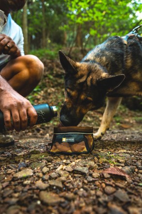 GO Outdoors - Dog Furiendly