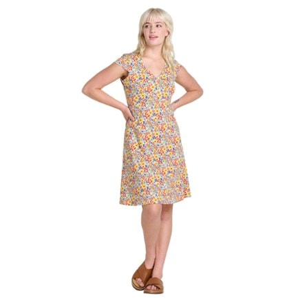 Toad&Co Rosemarie Dress 2