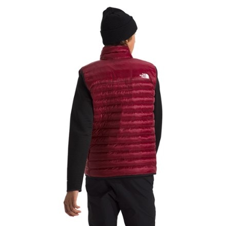 The North Face Terra Peak Insulated Vest - Men's 2