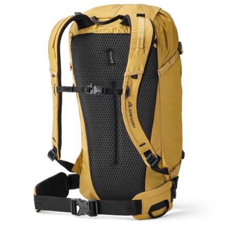Gregory Alpinisto 30 Pack 1