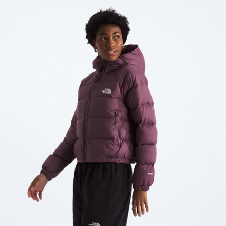 The North Face Hydrenalite Down Hoodie - Women's 3