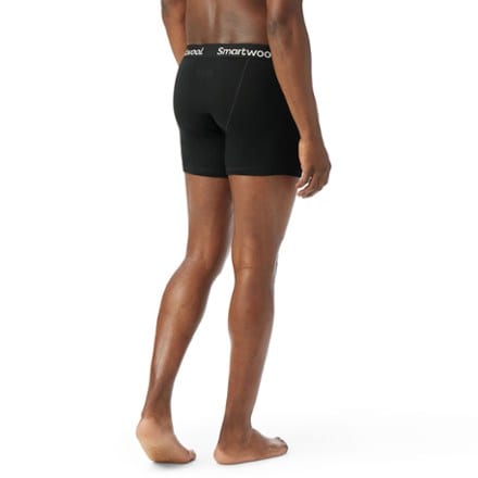 Smartwool Merino Boxer Briefs - Boxed - Men's 2