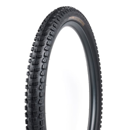 Bontrager Brevard Pro XR TLR Tire