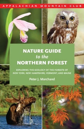 AMC Nature Guide To The Northern Forest 0