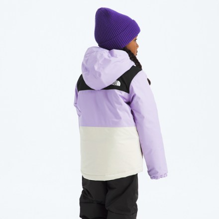 The North Face Freedom Insulated Jacket - Toddlers' 2