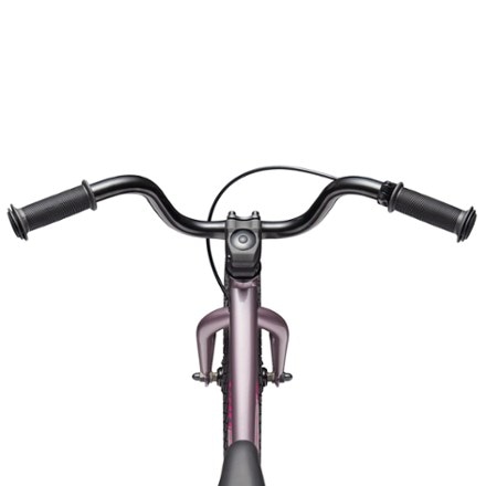 Cannondale Trail 16 Single-Speed Kids' Bike 9