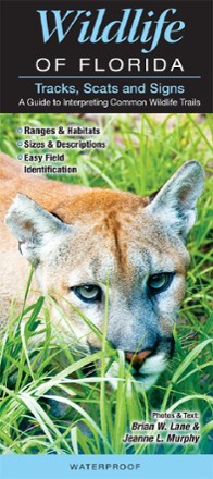 Quick Reference Publishing Wildlife of Florida | REI Co-op