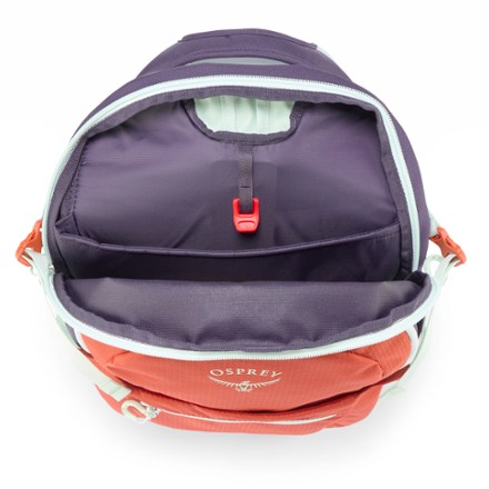 Osprey Daylite Plus Pack Special Edition 3