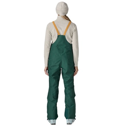 Patagonia Powder Town Bib Pants - Women's 2