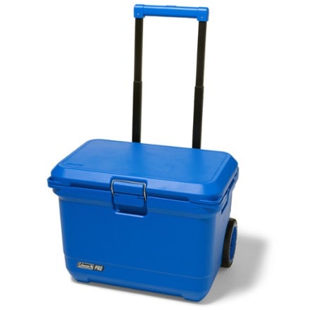 Coleman Pro 55-Quart Hard Cooler Back view