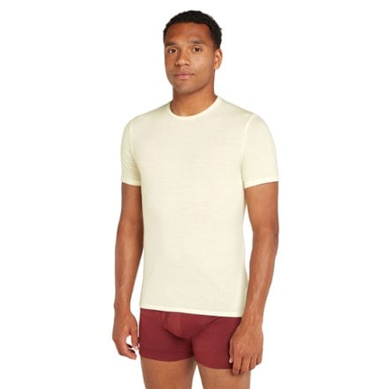 Icebreaker 150 Anatomica Crewe Base Layer Top - Men's 0